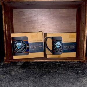 Pendleton National Park Collection Black Mugs